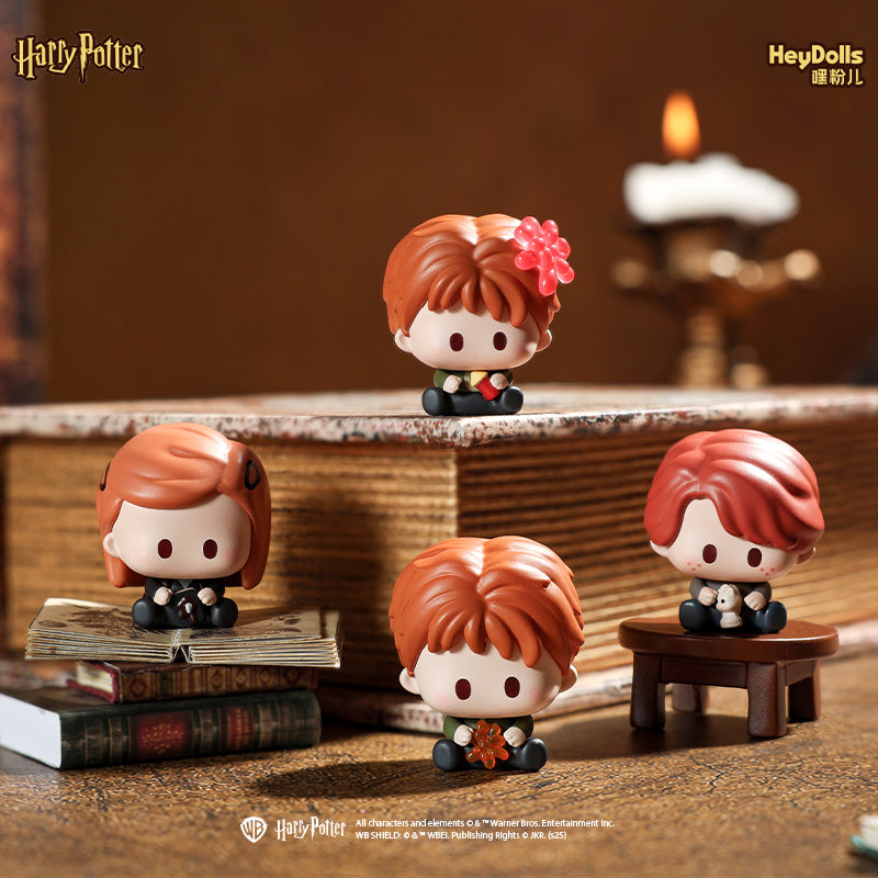 Hey Dolls Harry Potter Defense Against the Dark Arts Mini Blind Bag Figures