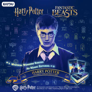 Kayou Harry Potter Wizards' Eternal Edition Trading Cards