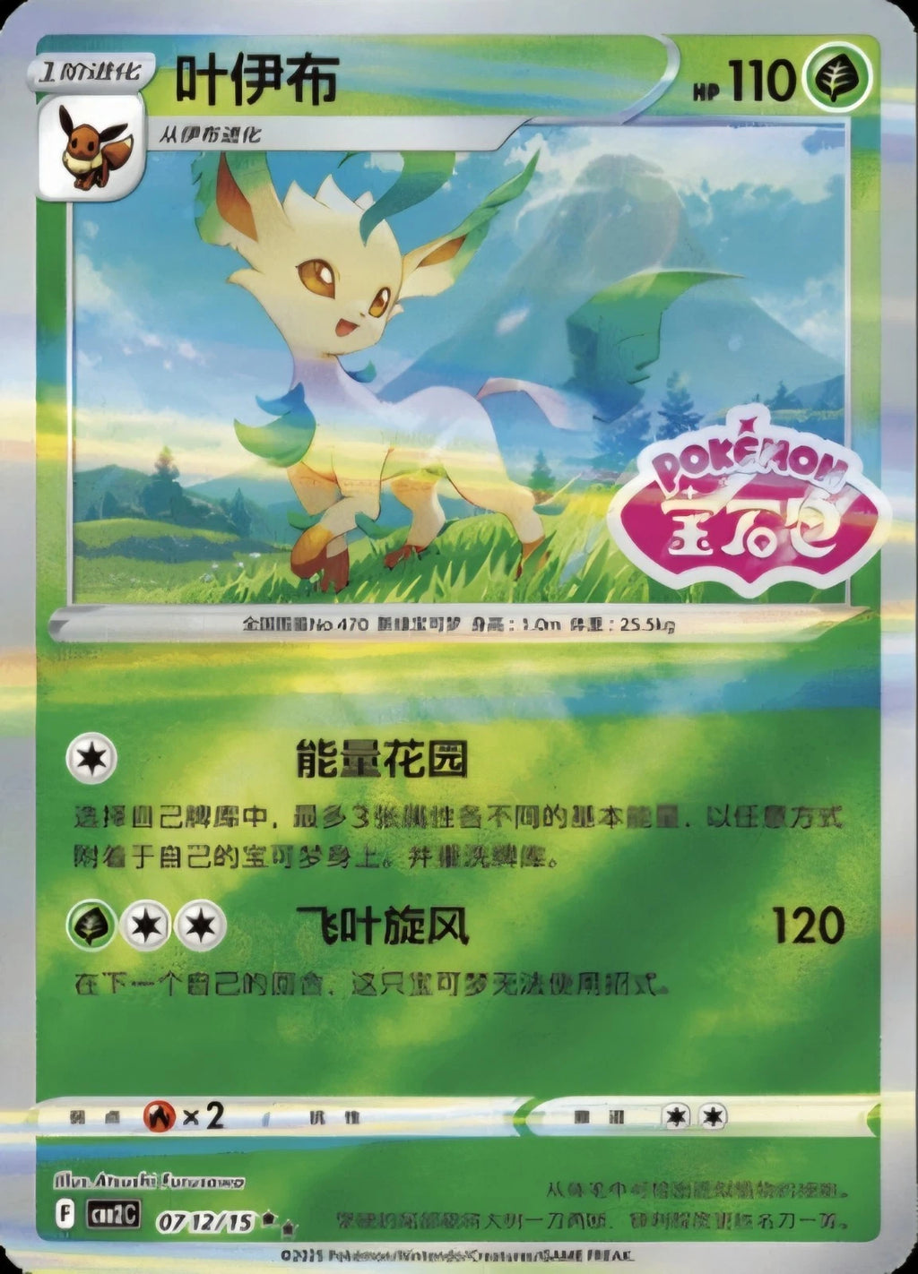 Pokemon S-Chinese Gem Pack Vol 2 Trading Cards